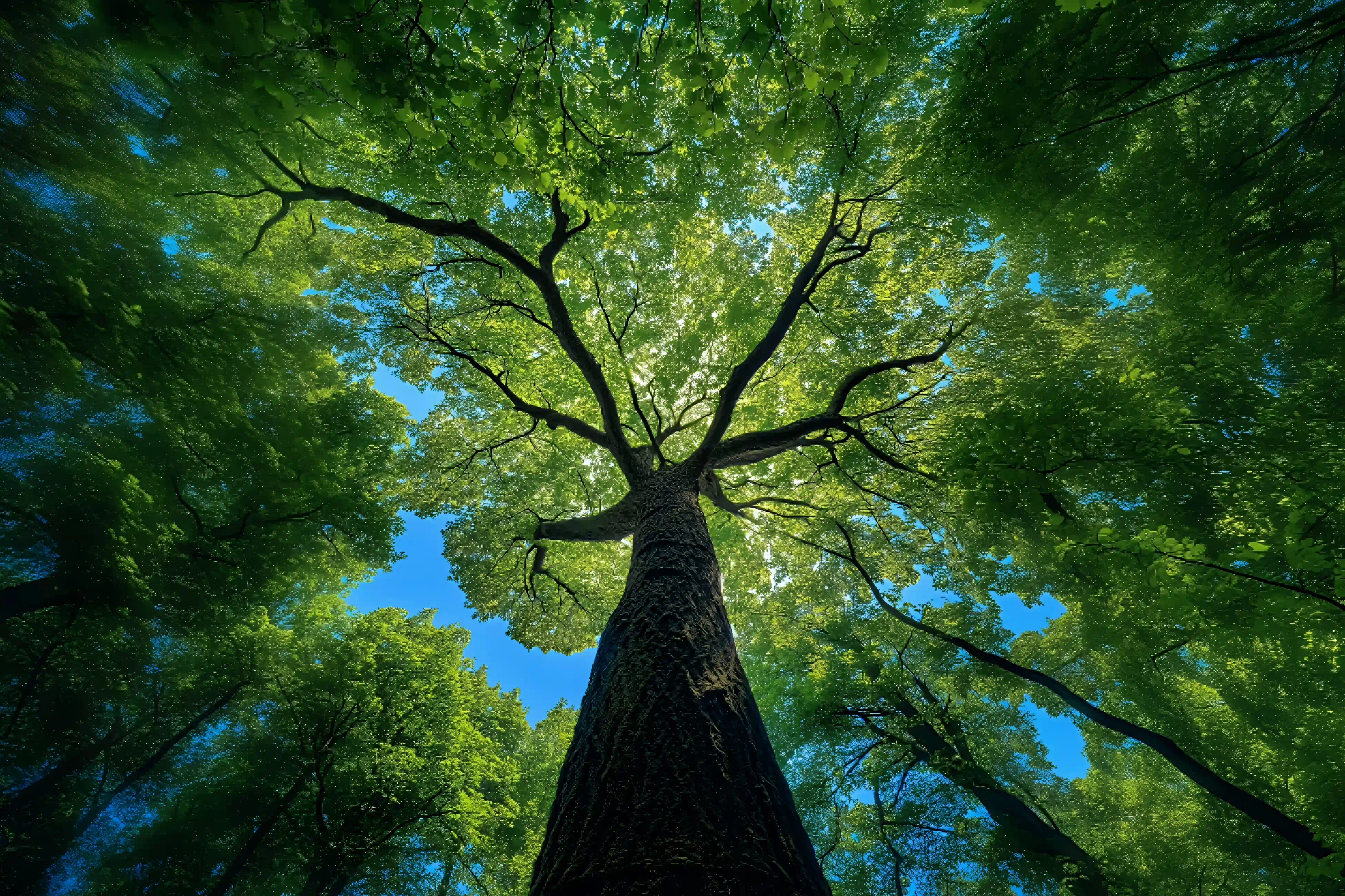 Desktop banner image 10