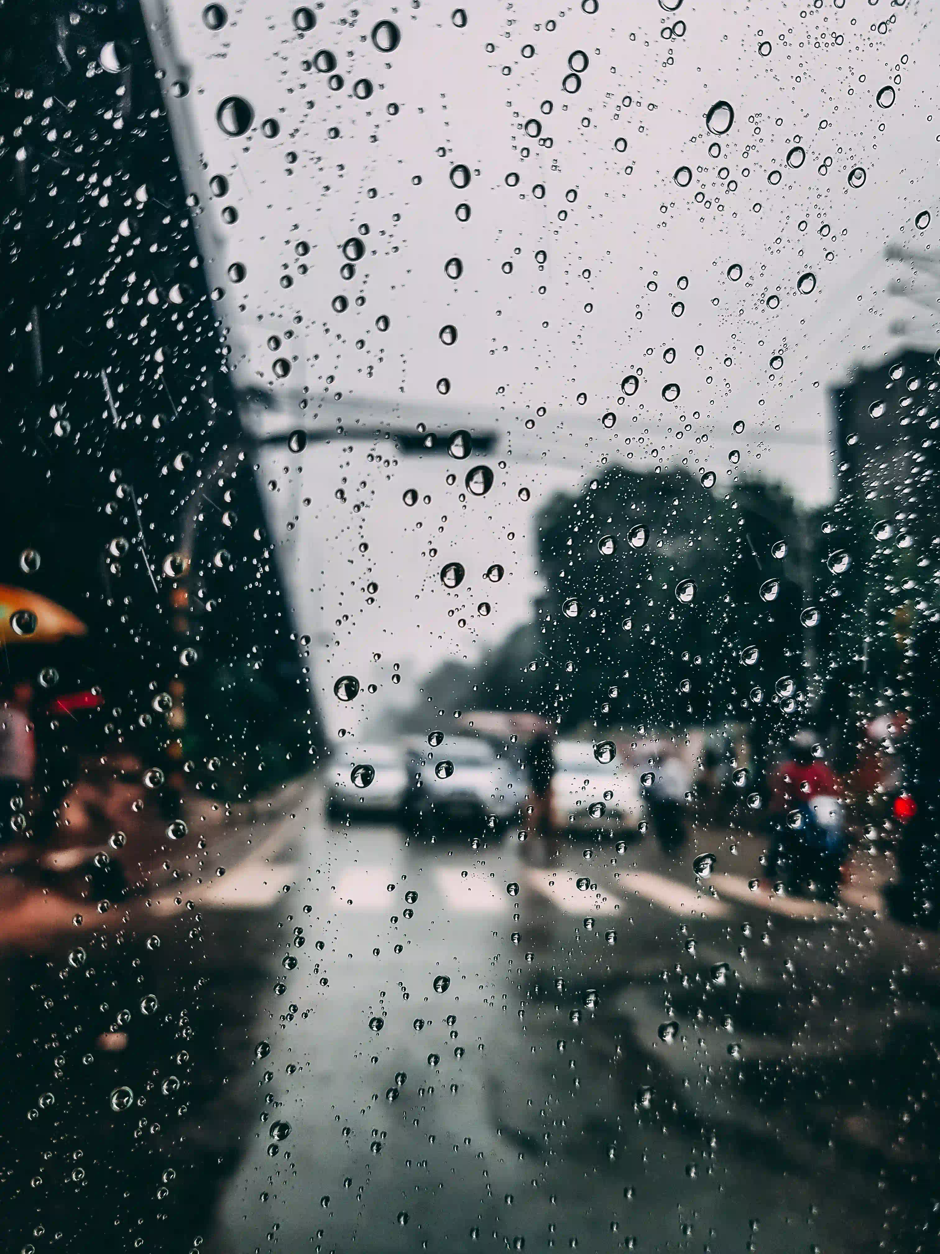 Mobile banner image 8
